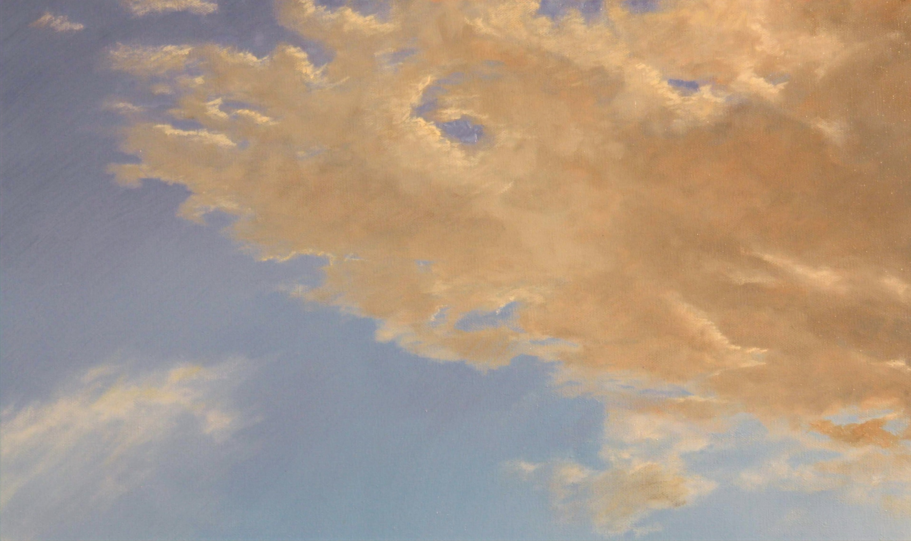 Sunset Clouds Detail
