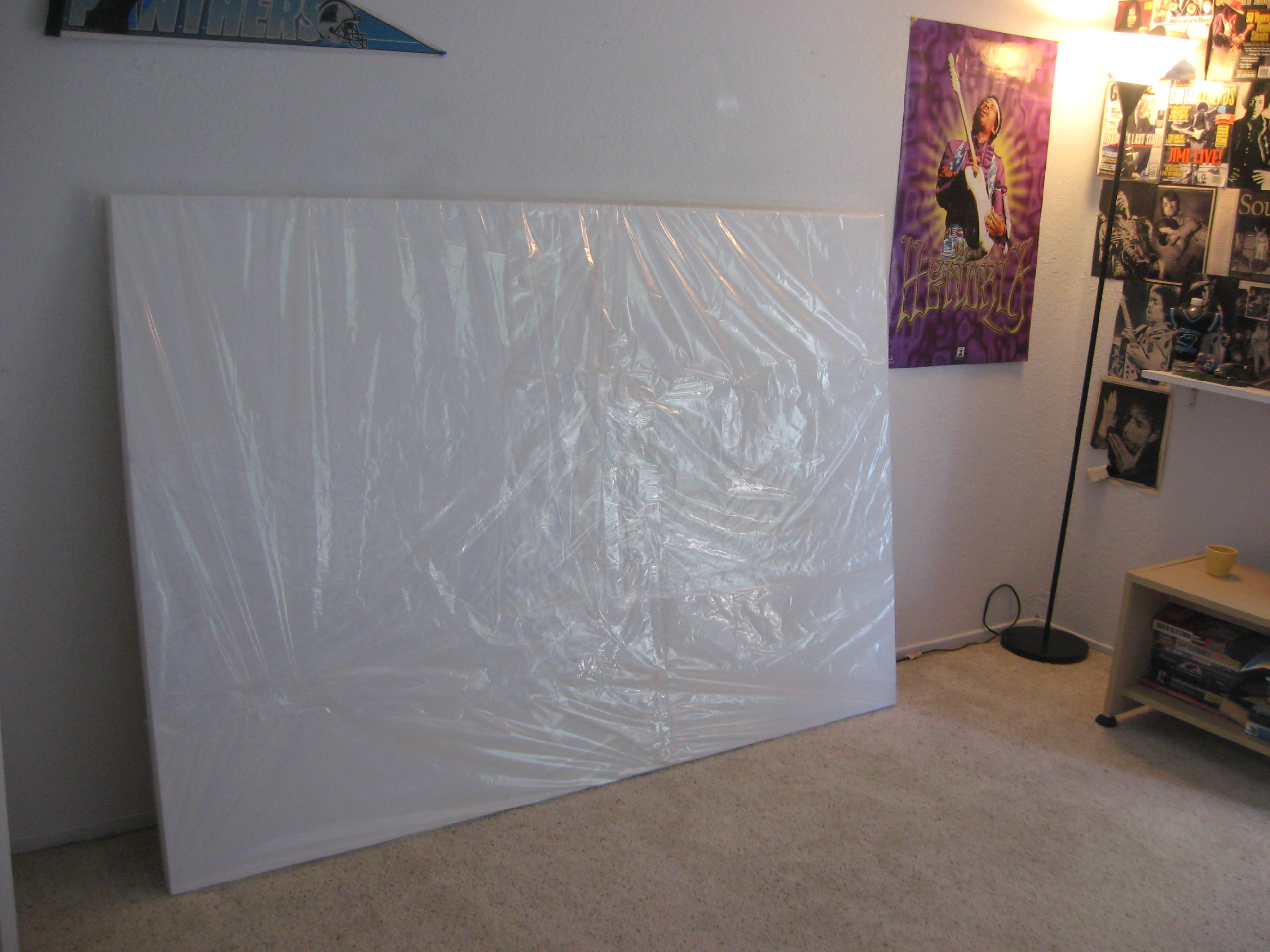4 x 6-Foot Canvas