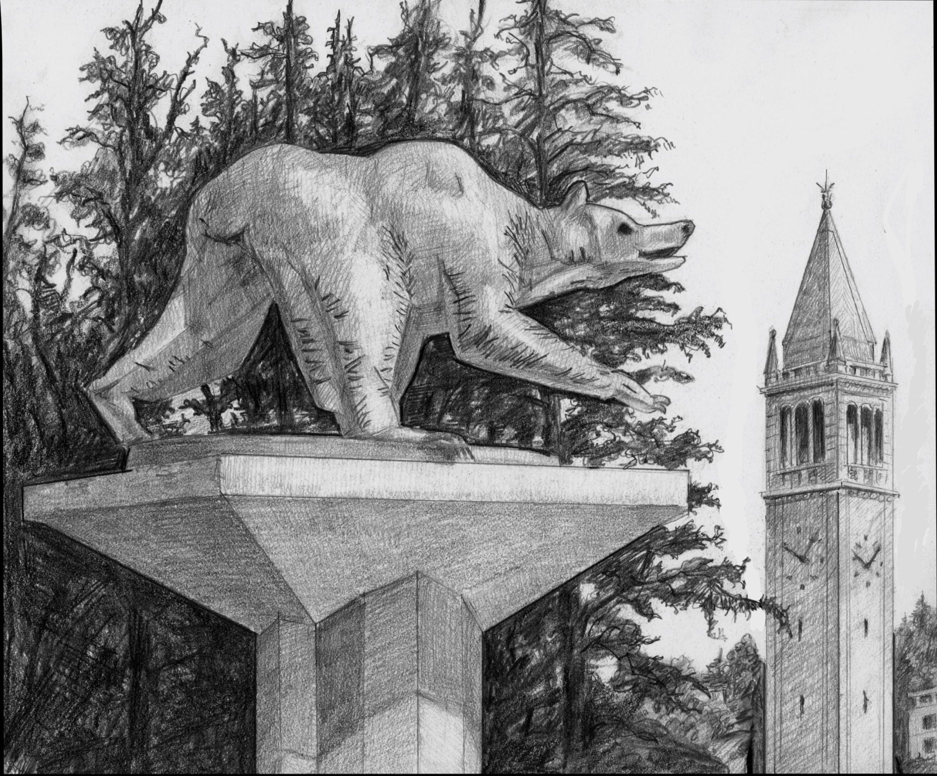 California Golden Bear with Sather Tower (the 'Campanile'), University of California, Berkeley