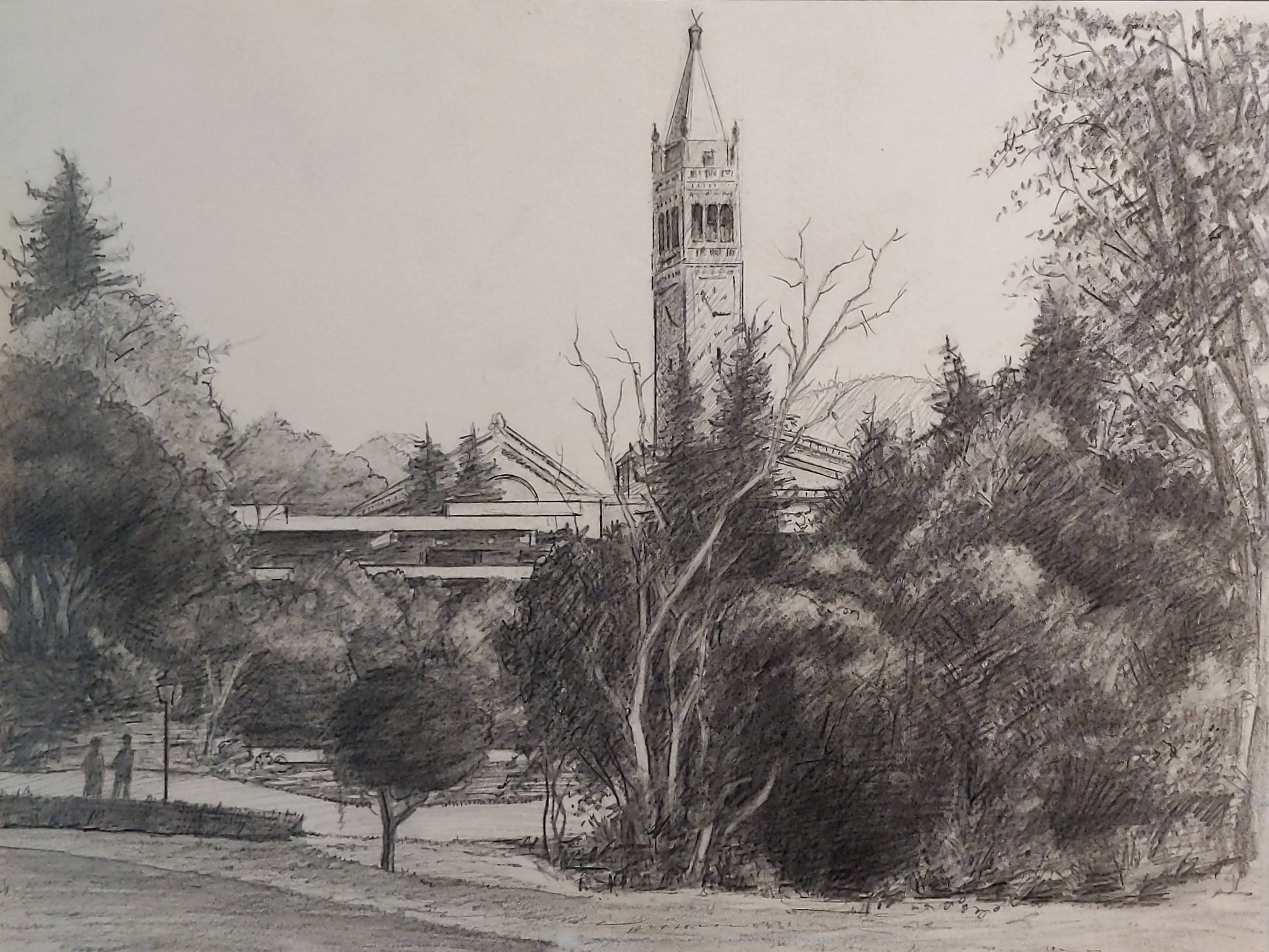 View Toward Moffitt Library and Sather Tower (Campanile), University of California, Berkeley