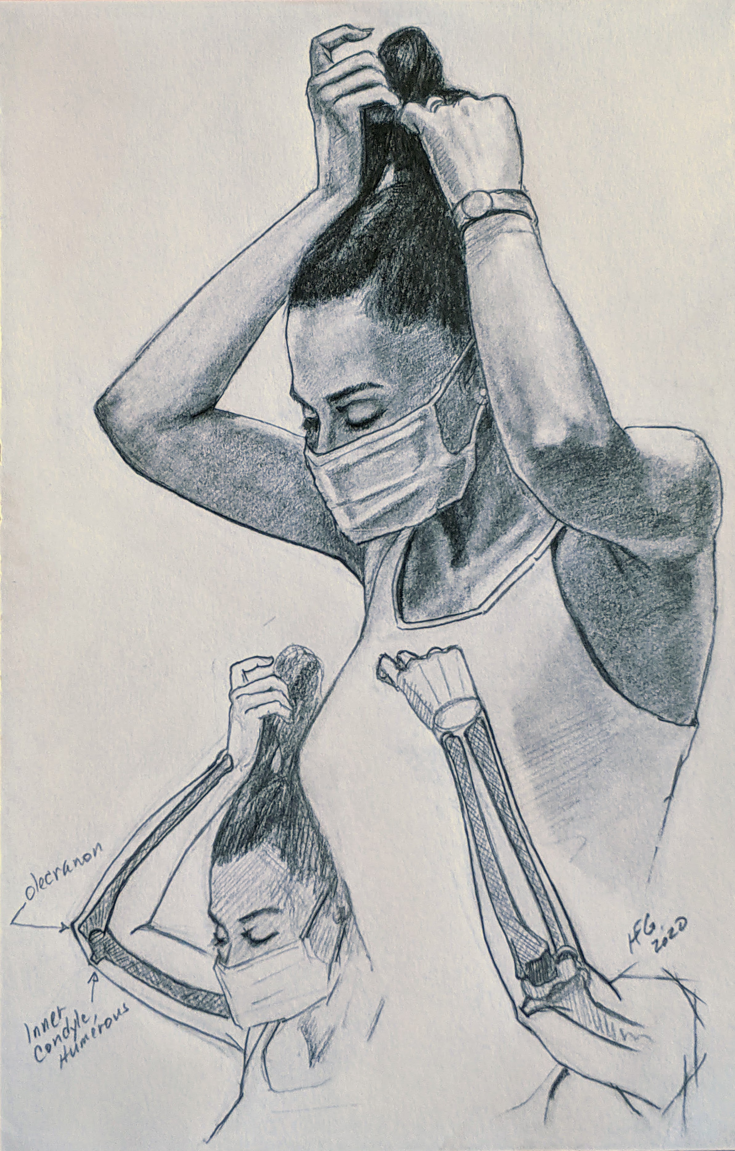 Anatomical & Other Studies
