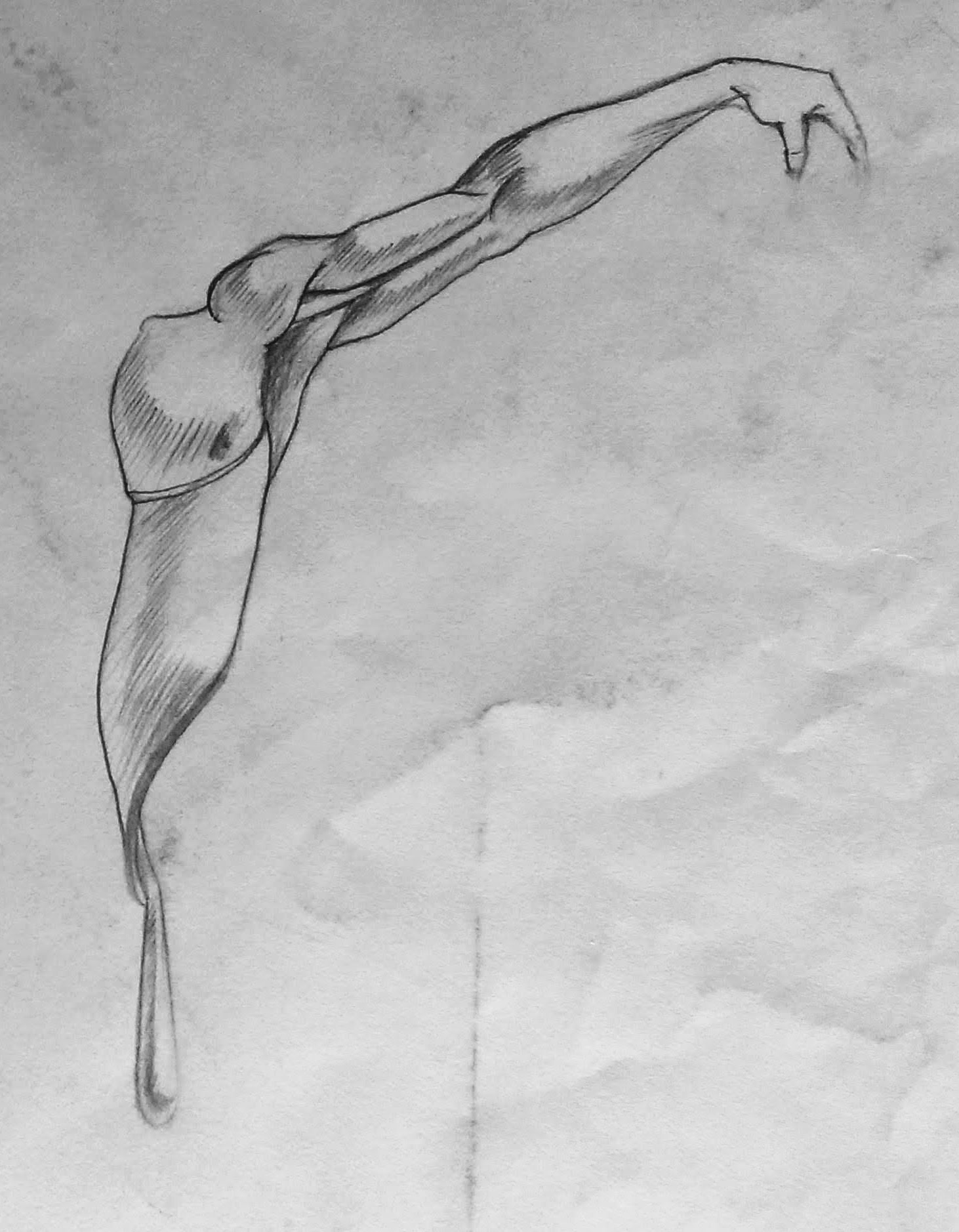 Anatomical Study of Extended Arm