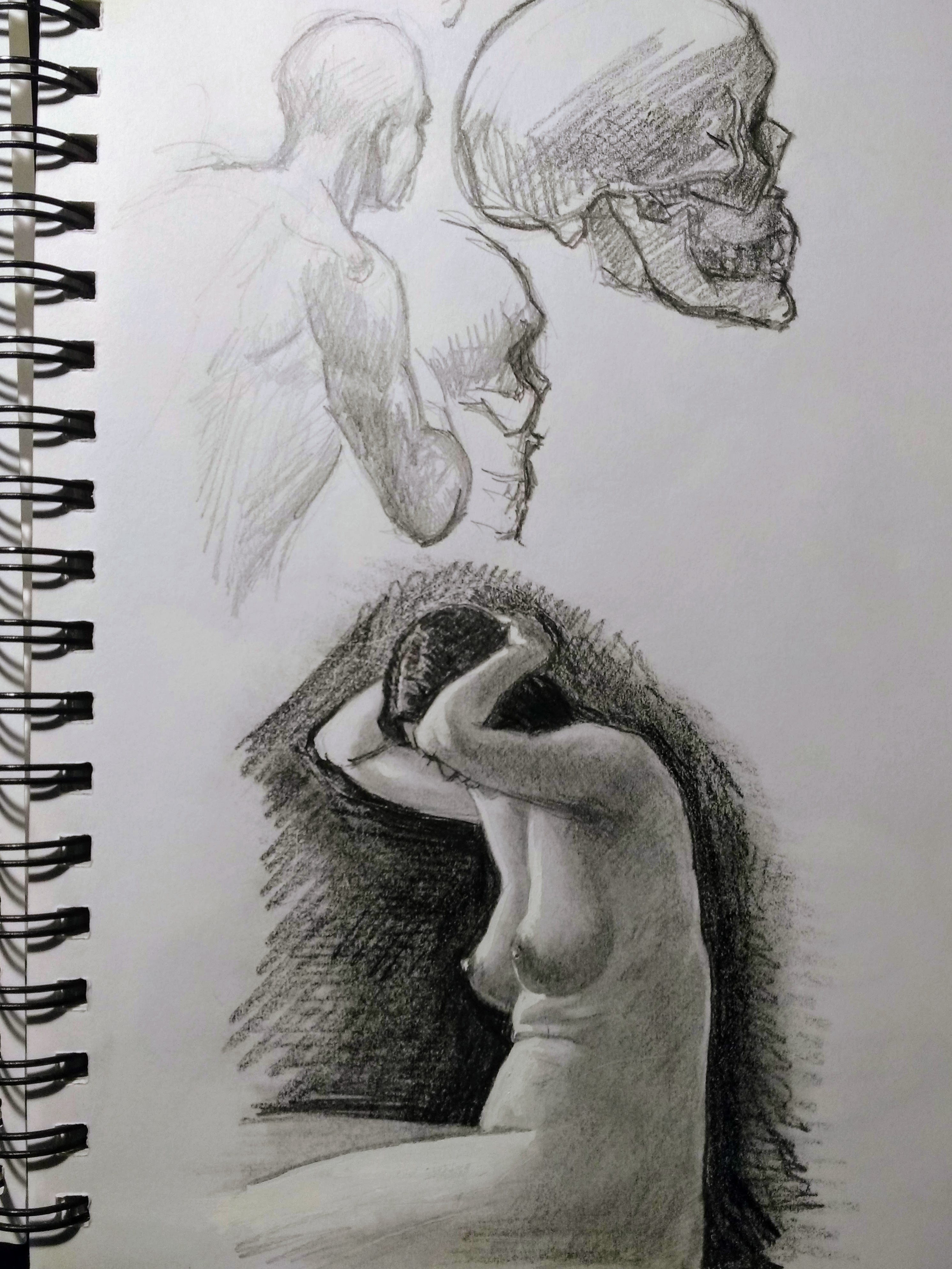 Figure and Skull Studies