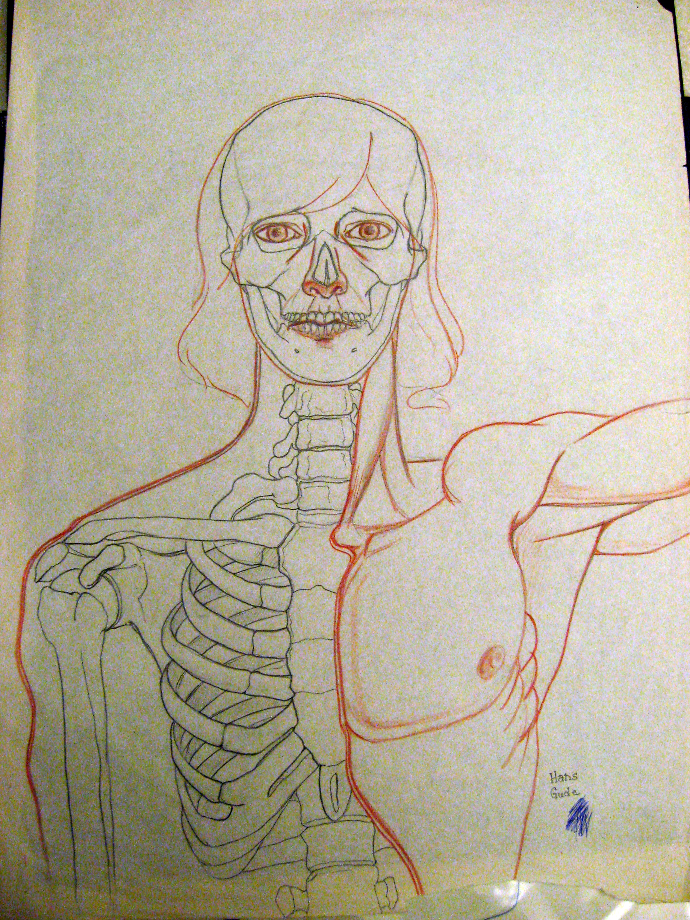 Self-Portrait as Anatomical Overlay