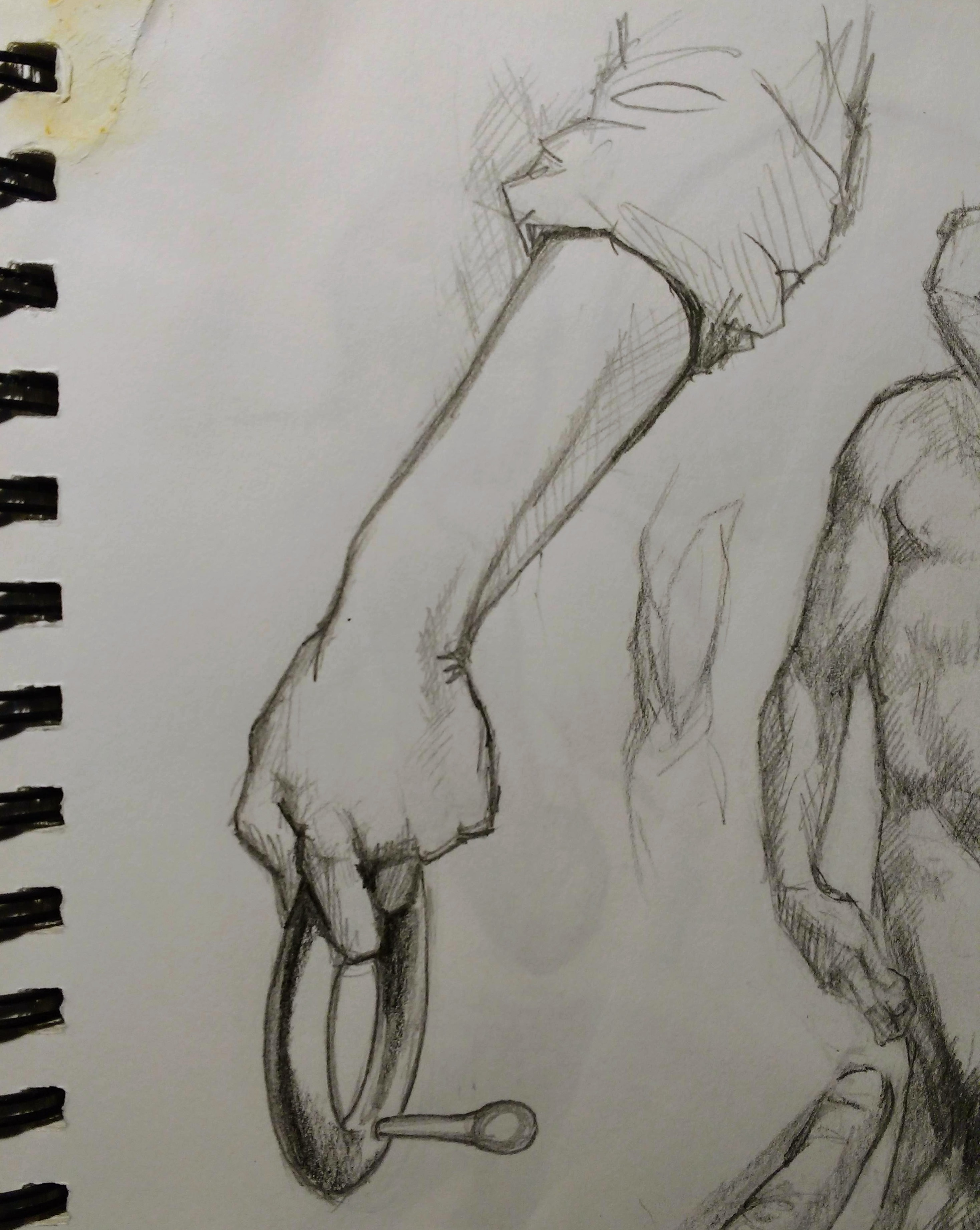 Studies of Arm and Torso