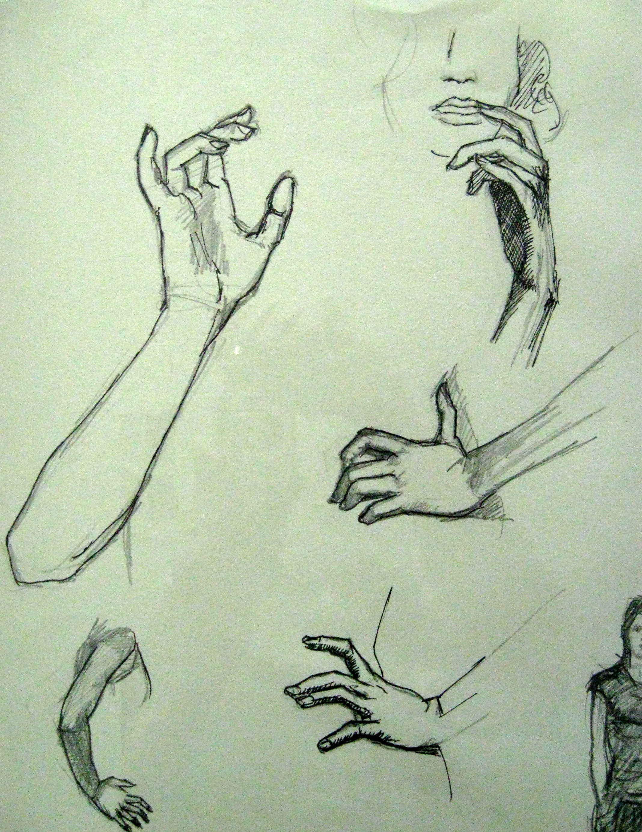 Studies of Hands and Arms