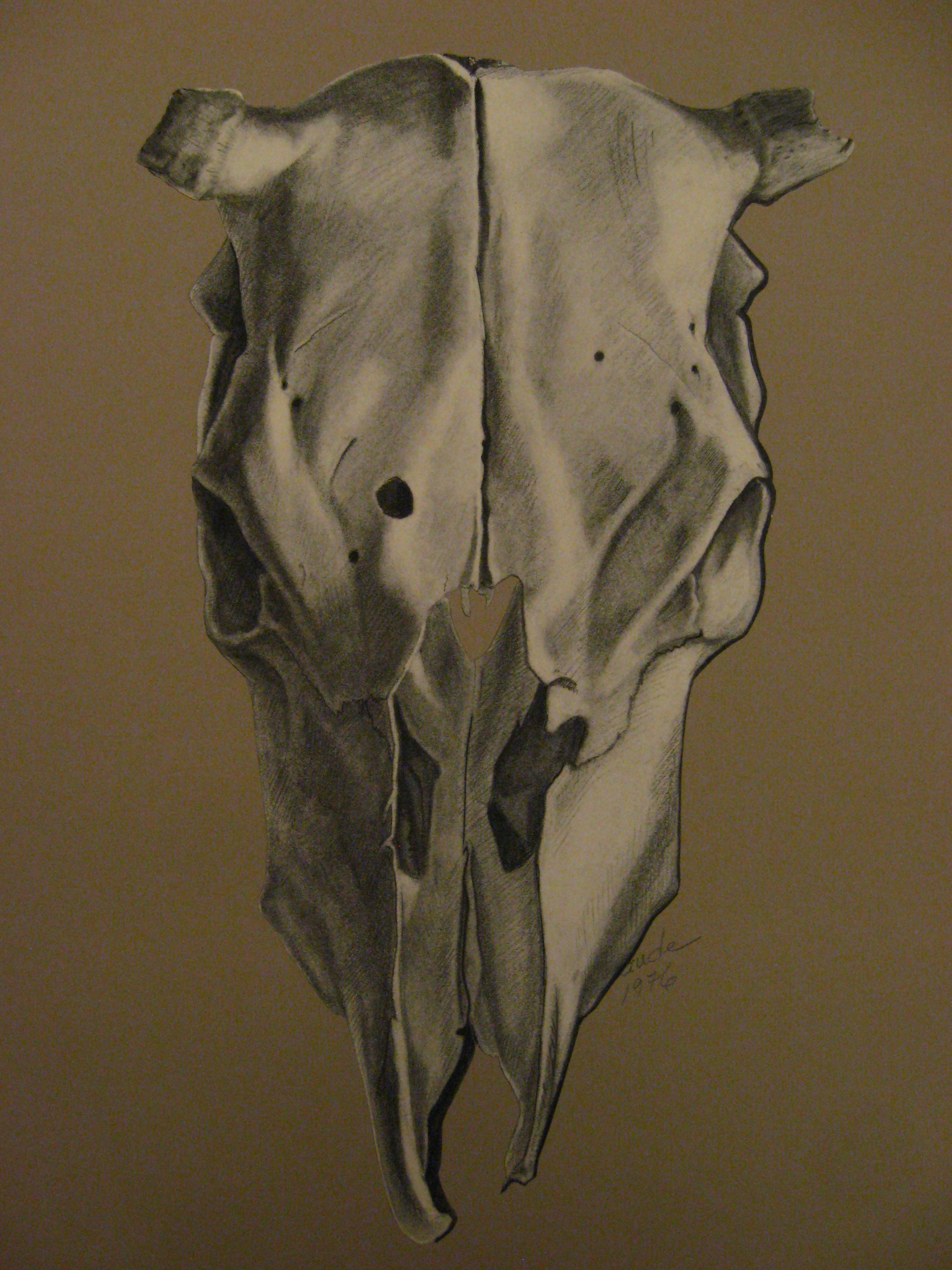 Animal Skull (Charcoal)