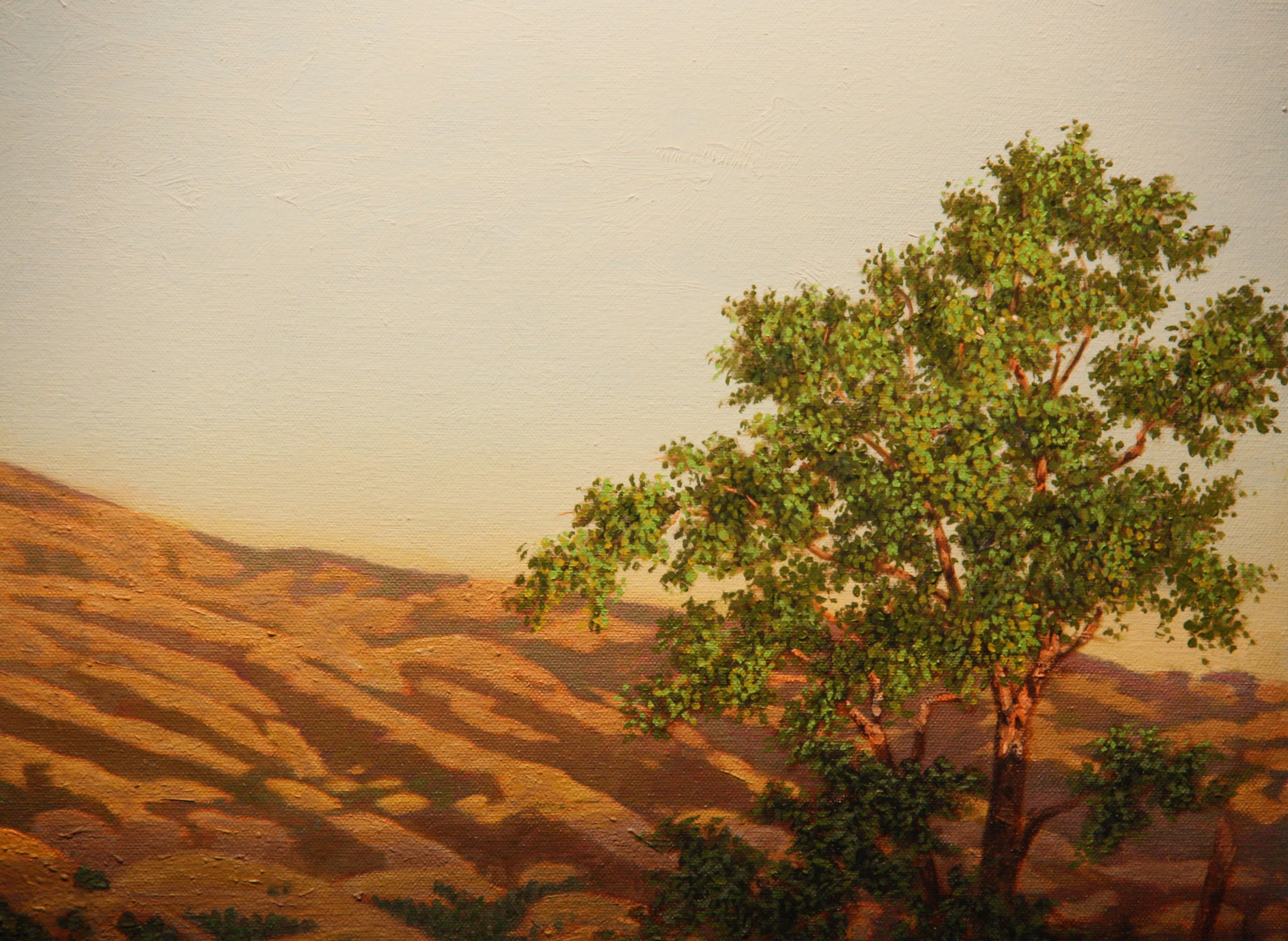 Mt. Diablo at Sunset, Tree Detail