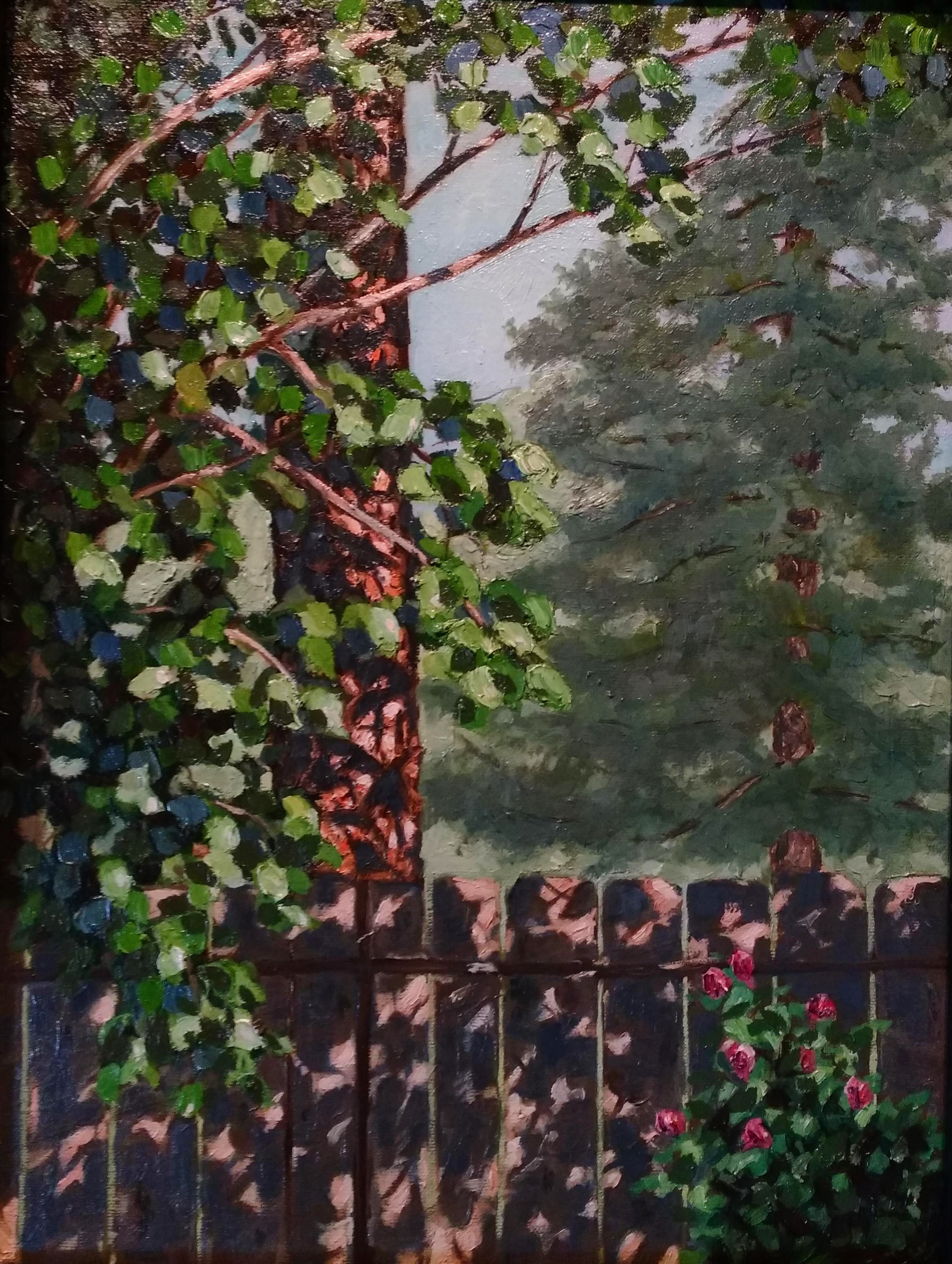 Over the Backyard Fence