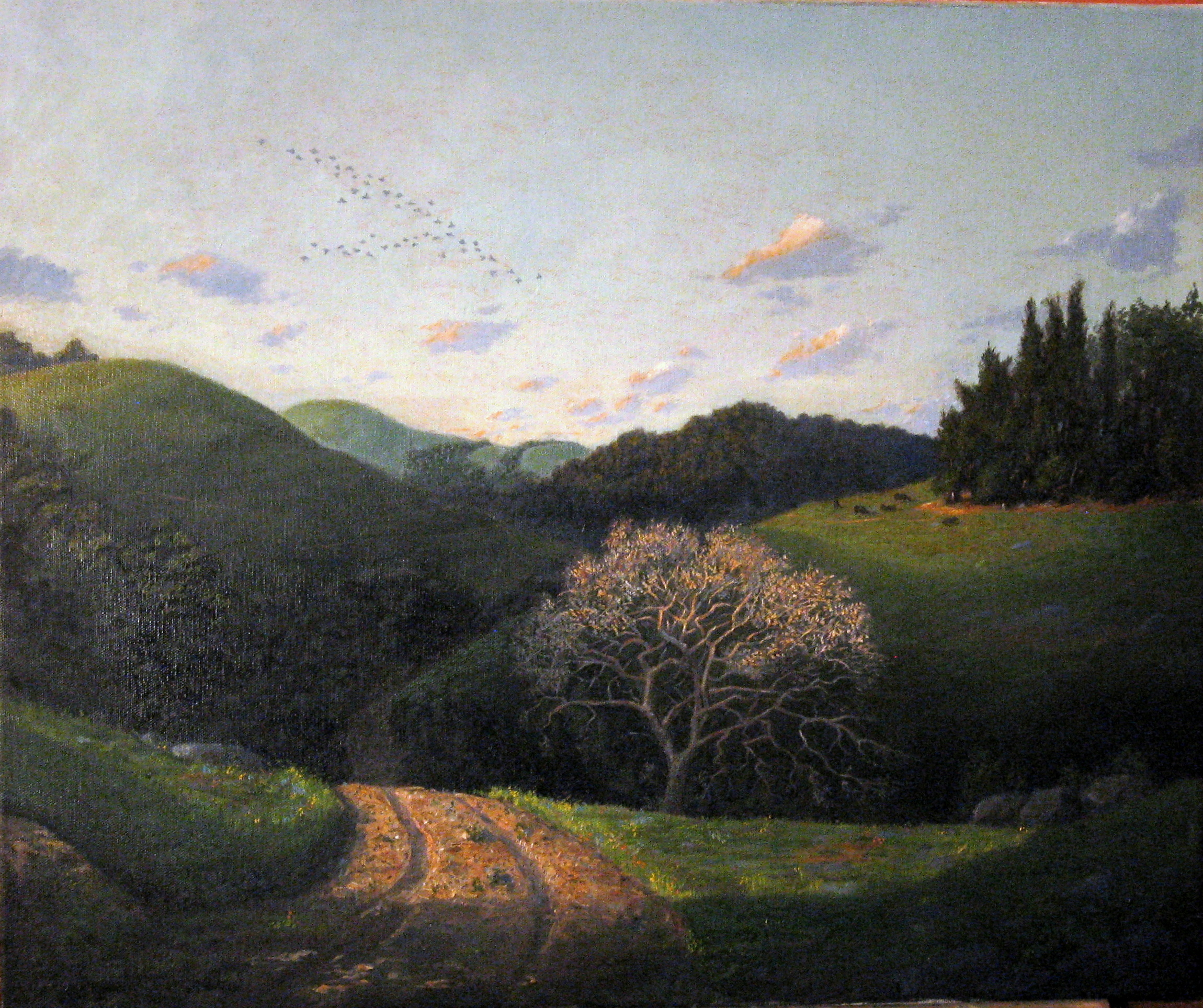Sunrise in Sonoma County
