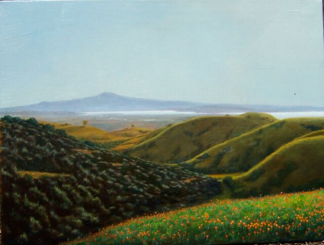 View of Mt. Tam