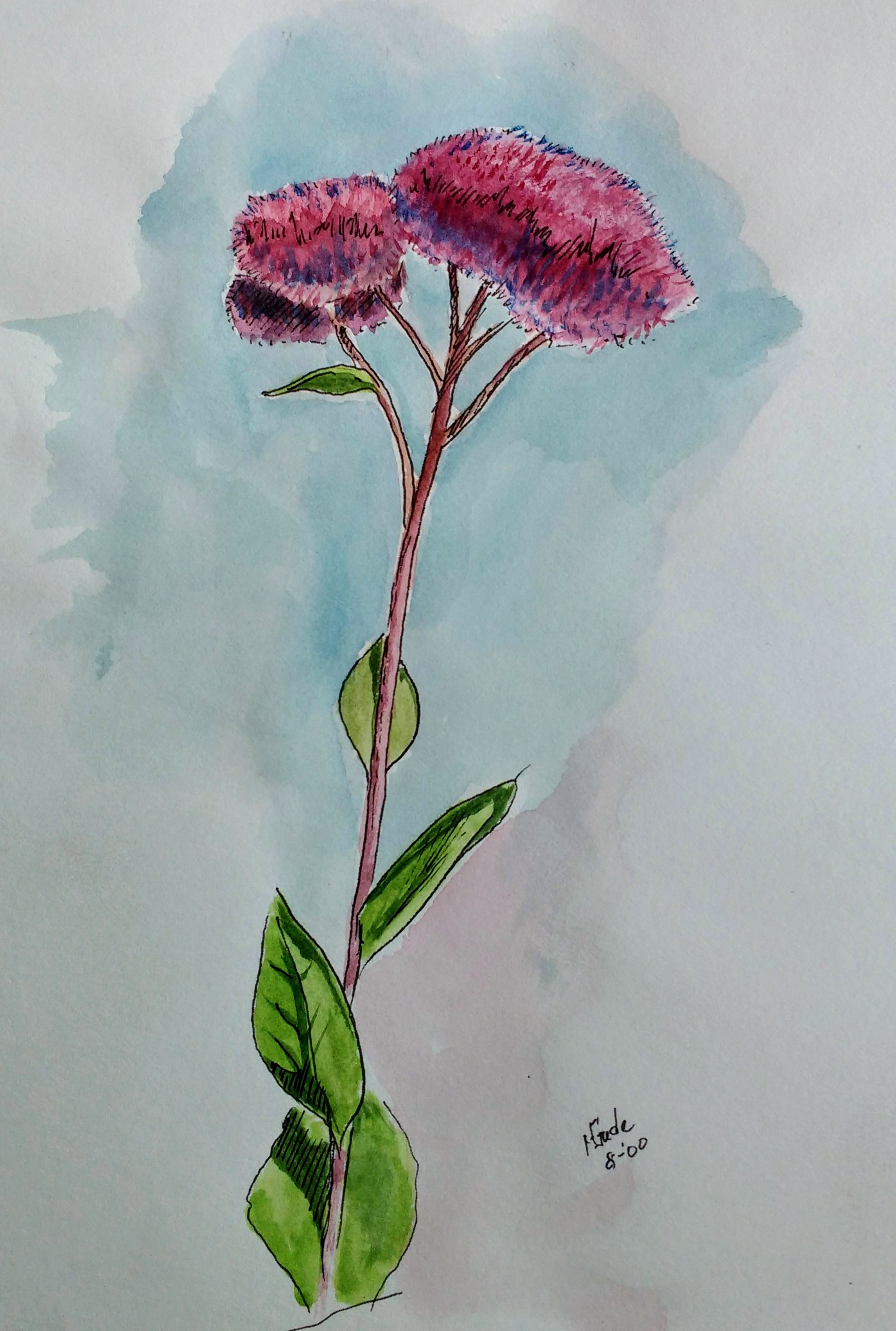 Flower