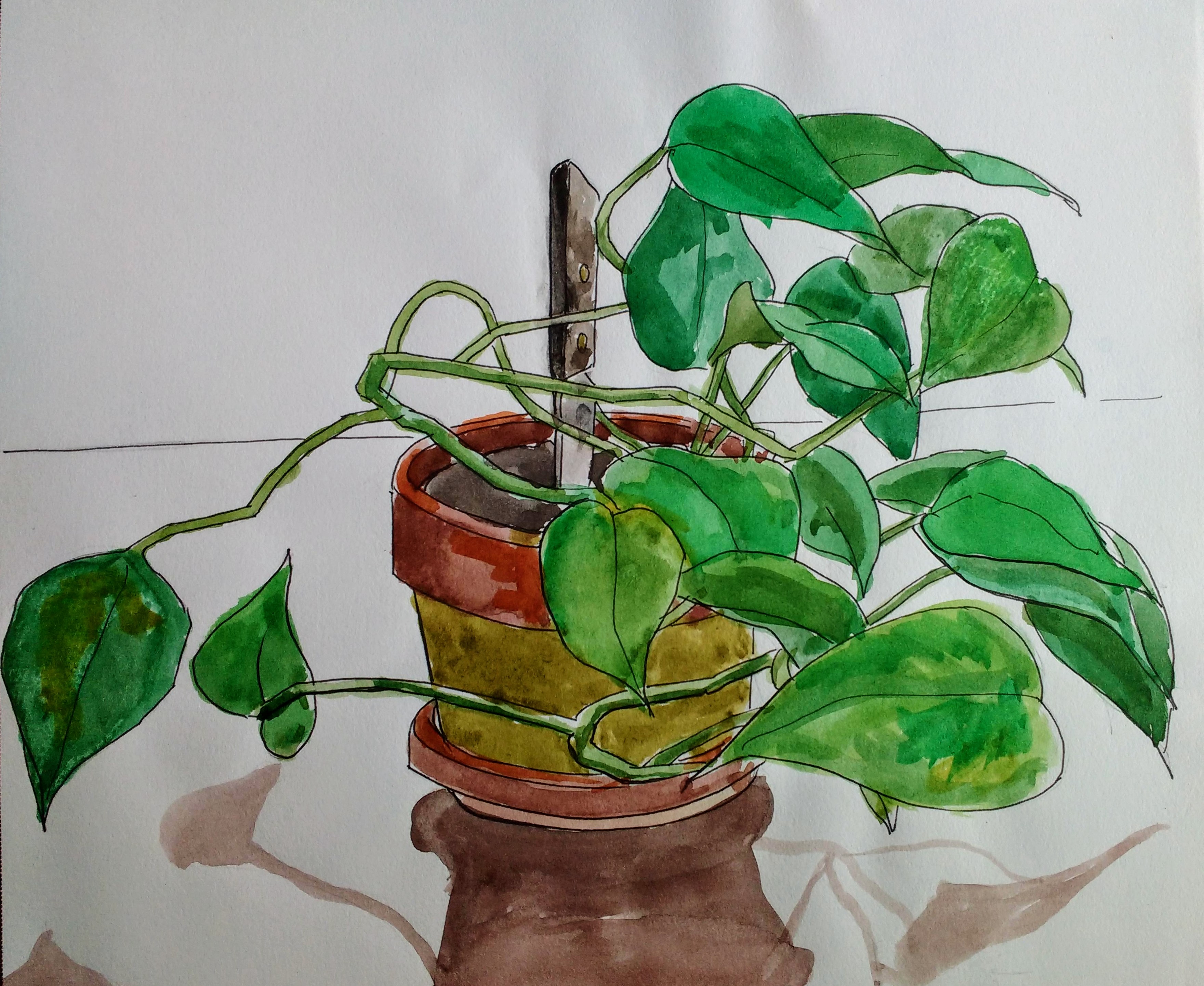 Potted Plant Watercolor
