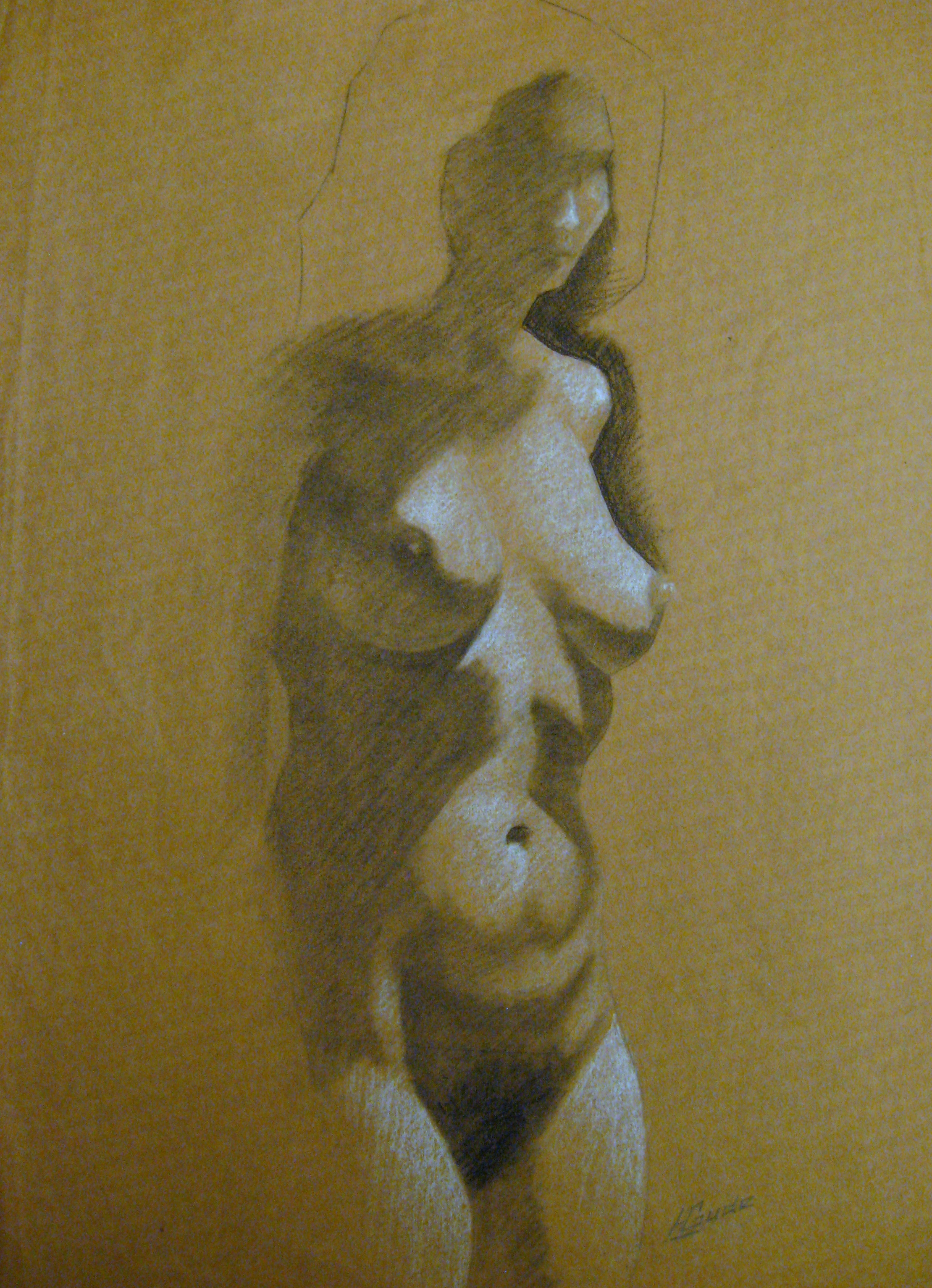 Female Torso Study on Toned Paper