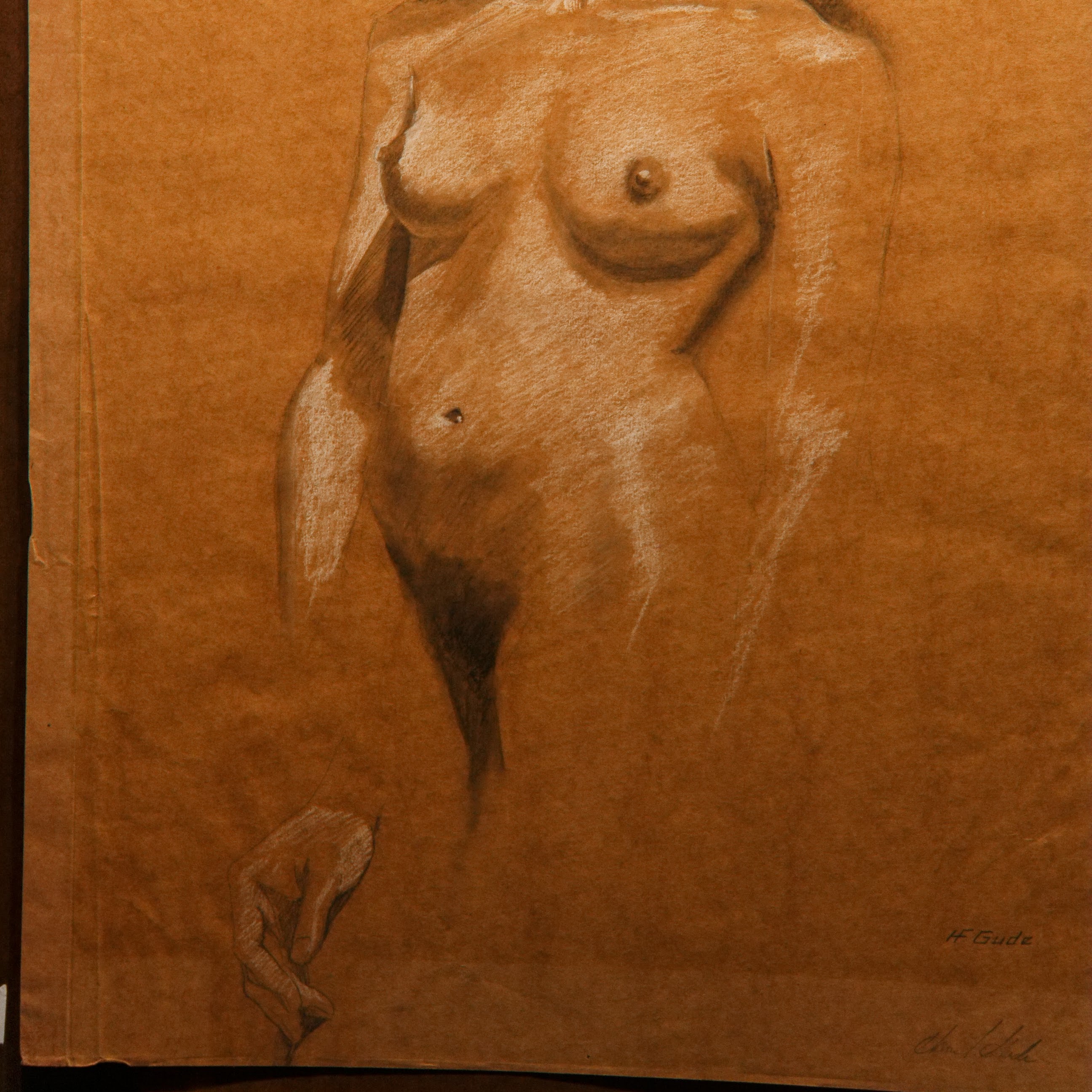 Torso Study of Standing Nude