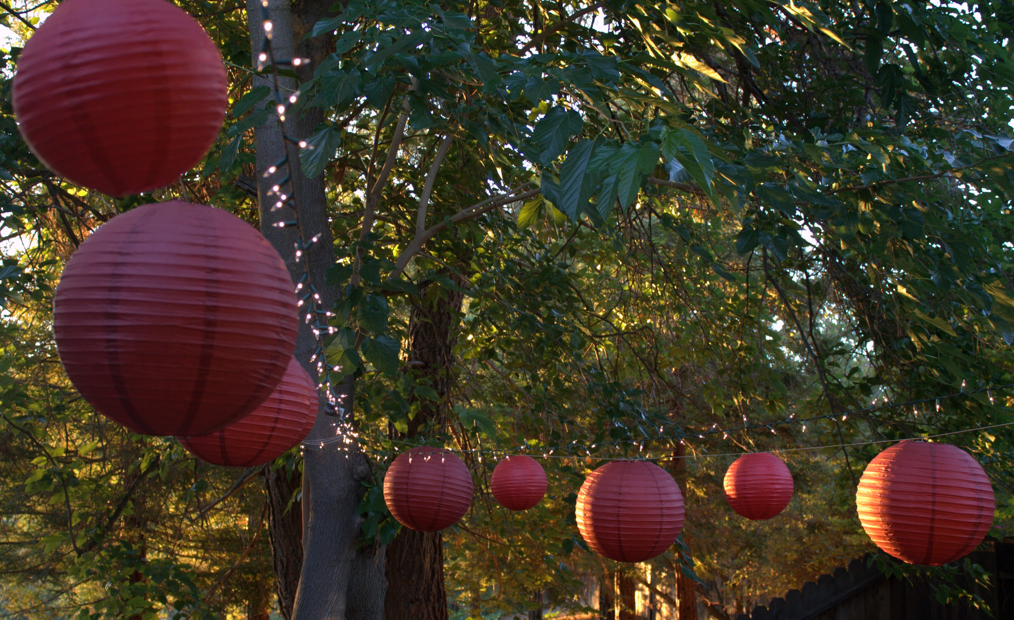 Paper Lanterns in the Garden