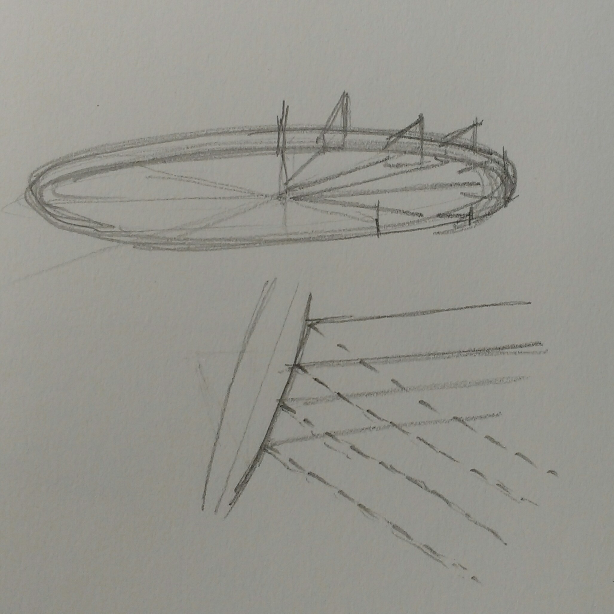Rowers in Motion Study