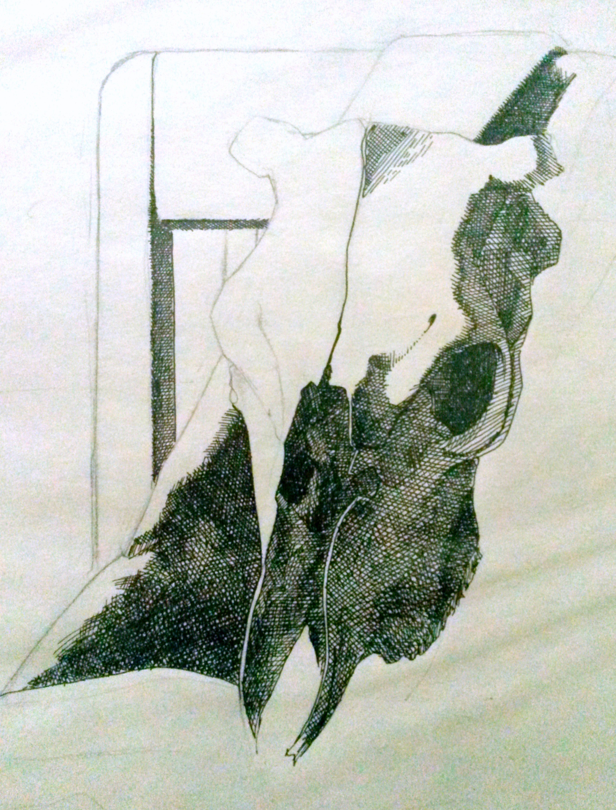 Animal Skull (Pen and Ink)